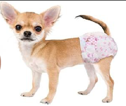 PAÑALES PARA PERRO